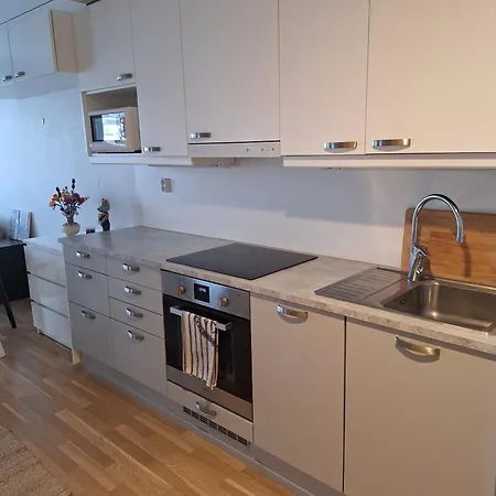 Apartment Upea Asunto Ydinkeskustassa *