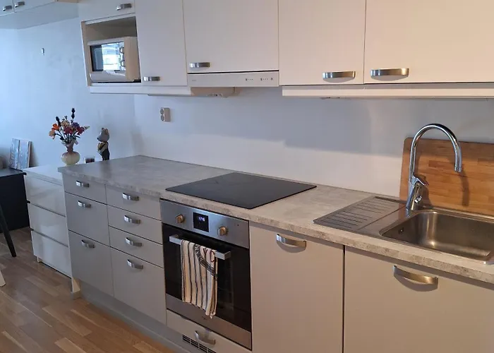 Apartamento Upea Asunto Ydinkeskustassa *